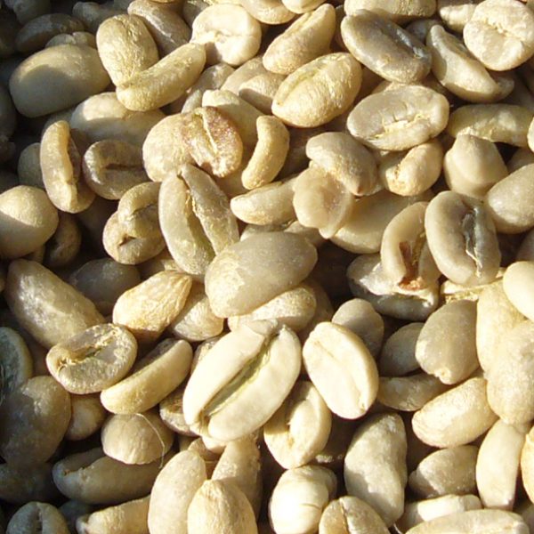 Wissen 010 – rohe Kaffeebohnen im Sack – MAKRO Wissen 010 - rohe Kaffeebohnen im Sack - MAKRO